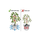 6 Pck 1 Gallon Fabric Flower Pots 3.8L Garden Planter Bags Black Felt Root Pouch - NuSea