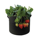 6 Pck 10 Gallon Fabric Flower Pots 38L Garden Planter Bags Black Felt Root Pouch - NuSea
