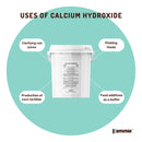 600g Food Grade Calcium Hydroxide Powder Tub FCC Hydrated Slaked Pickling Lime - NuSea