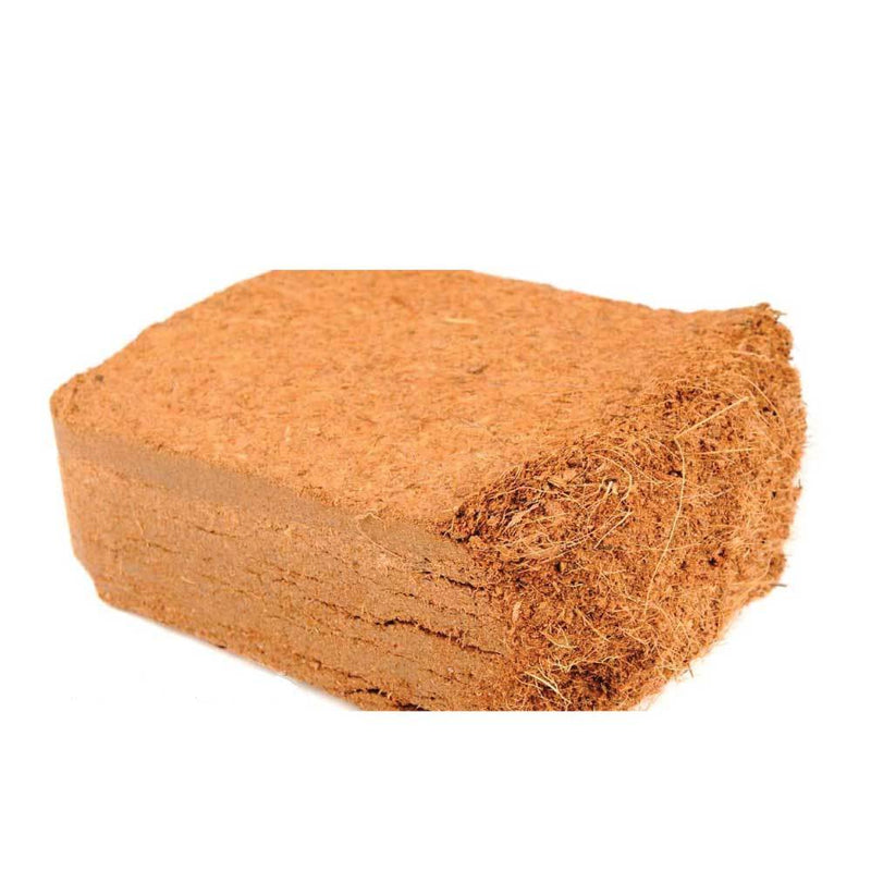 650g Coco Brick Premium Coir Peat Organic Plant Growth Medium Husk 9L Nutrifield - NuSea