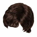 Short Men’s Costume Wig with Fringe – Dark Brown or Light Brown Fancy Dress Hairpiece