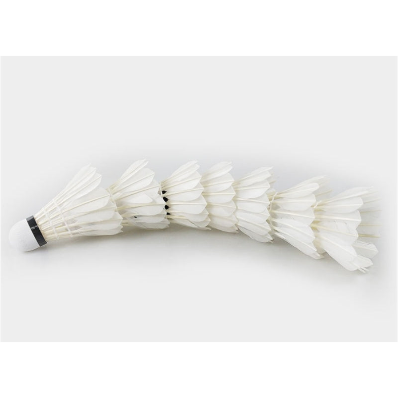 12PCs of DHS Badminton Goose Feather Shuttlecock Model 401 / 402 - NuSea