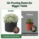 Green Fingers 20 Gallon Grow Bags 300gsm thick Aeration Fabric Pots 10 Pack