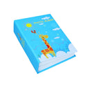 Photo Album 100-Pockets photo size 6"