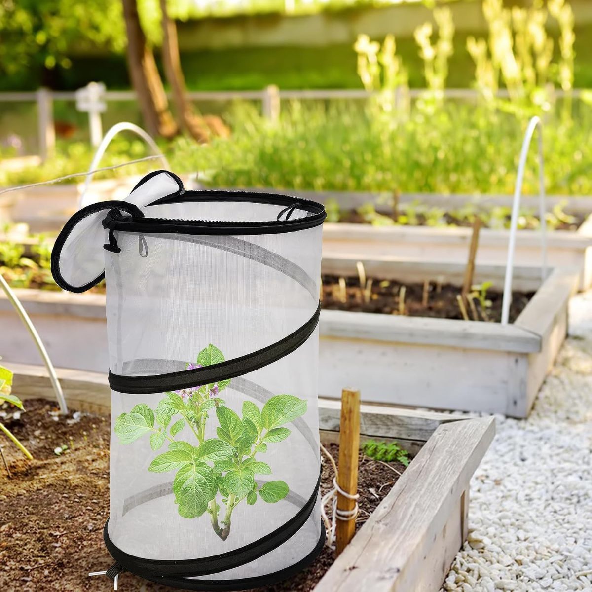 2Pack Pop Up Insect Barrier Plant Cover Net, 19.6" x 11.8" Round Foldable Plant Protectors Mesh Plant Enclosure, Garden Net Cage Guard Cover with Stakes & Carry Bag for Protect Plants from Bird Insect - White