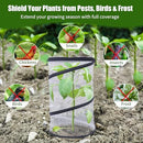 4Pack Pop Up Insect Barrier Plant Cover Net, 19.6" x 11.8" Round Foldable Plant Protectors Mesh Plant Enclosure, Garden Net Cage Guard Cover with Stakes & Carry Bag for Protect Plants from Bird Insect - White