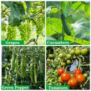 4Pack Garden Trellis Netting for Climbing Plants Outdoor Heavy Duty 27 Strands & 4x4 Inch Mesh Plant Climbing Net Strong Support for Clematis Tomatoes Cucumber Vine Plants 5.9x11.8FT - Green