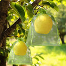 17*23cm 100PCS Fruit Protection Bags Green Netting Drawstring Mesh Cover, Pest Barrier for Tomato, Fruits, Blueberry, Veggies Garden - White - Size 17*23cm