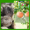 15*20cm 100PCS Fruit Protection Bags Green Netting Drawstring Mesh Cover, Pest Barrier for Tomato, Fruits, Blueberry, Veggies Garden - White - Size 15*20cm