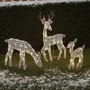 Lighted Christmas Deer Reindeer Family With Led Lights