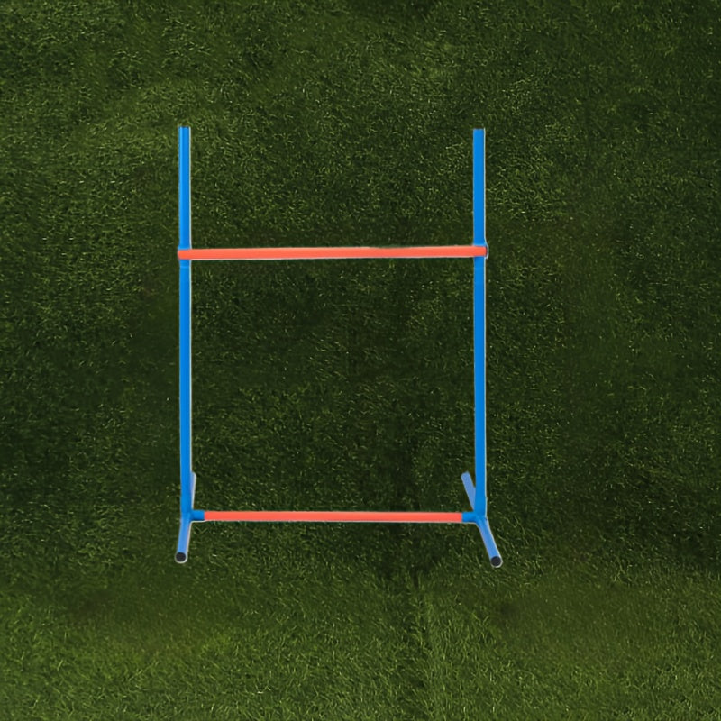 Dog Agility Training Set for Pets