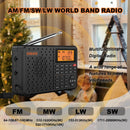 Stereo Digital Portable Radio Black