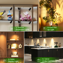 Dimmable LED Mini Spotlight, 12V CCT 2700K-6000K, Adjustable for Display, Cabinet, Showcase, Artwork, 360° Rotatable Accent Lighting, Surface Mount with Slider Dimmer & Adapter (CCT, 4Pack)