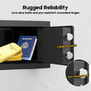 Digital Safe Box 6.4L, Electronic Security Safe with Keypad & 2 Emergency Keys, Steel Cash & Valuables Lock Box for Home, Office & Hotel