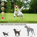 Automatic Pet Ball Launcher Toy with 3 Smart Launch Modes, Built-in Li-ion Battery & USB Charging, Long Battery Life, Indoor/Outdoor Use, Perfect Interactive Training Toy for Small and Medium Dogs.(blue)
