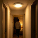 Rechargeable Motion Sensor RGB Ceiling Light with Remote - 4000mAh Lithium Battery