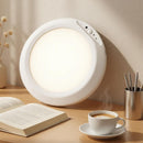 Rechargeable Motion Sensor RGB Ceiling Light with Remote - 4000mAh Lithium Battery