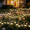 Solar Outdoor Garden Lights Perfect for Pathways, Flower Beds & Lawns (Warm White)