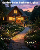 Solar Outdoor Garden Lights Perfect for Pathways, Flower Beds & Lawns (Warm White)