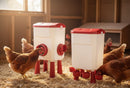 CARLA HOME Automatic Chicken Feeder Waterer Set with 8KG Food 7L Water Capacity for Coop, Chickens, Ducks, Quails (Red)