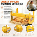 CARLA HOME Upgraded Chick Brooder Heating Plate - Adjustable Height - Yellow - Chicken Heater