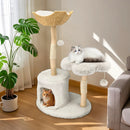 Large Black Real Branch Cat Tree Tower with Plush Condo and Scratching Posts
