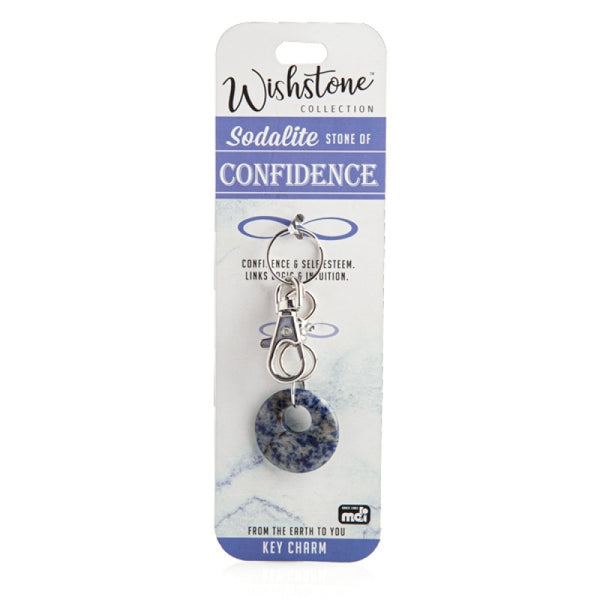 Sodalite Key Charm