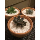 Orku 10L Perlite Super Coarse Premium Soil Expanded Medium Plants Hydroponics