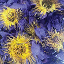 Orku 100g Blue Lotus Flowers - Dried Whole Open Lily Nymphaea Caerulea