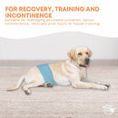 Rooster Farms Male Dog Diapers Large 3Pk - Washable Reusable Nappies Hook/Loop