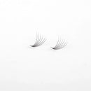 Miosh Eyelash Extensions - XL 6D Premade Volume Short Stem Lash 0.07 / D CURL