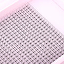 Miosh Eyelash Extensions - XL 5D Premade Volume Short Stem Lash 0.10 / D CURL