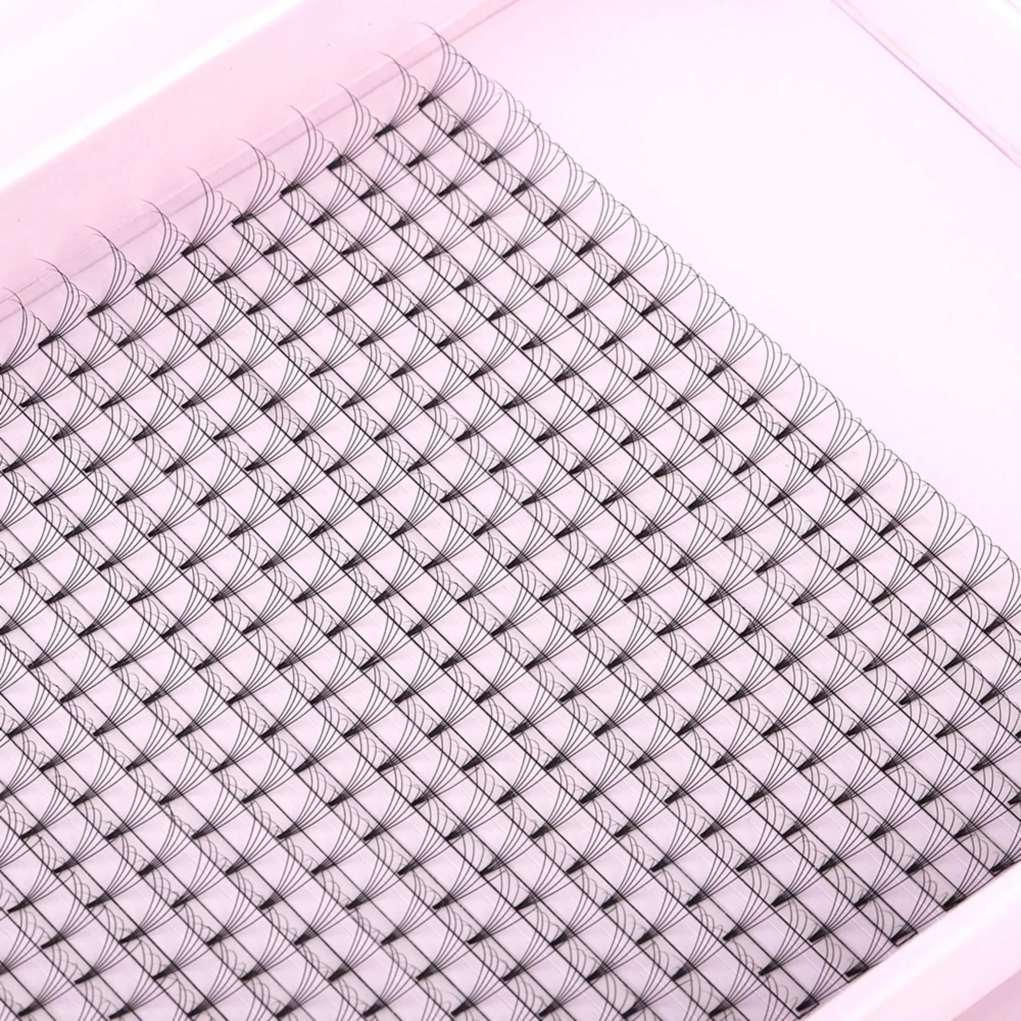 Miosh Eyelash Extensions - XL 5D Premade Volume Short Stem Lash 0.10 / D CURL