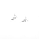 Miosh Eyelash Extensions - XL 4D Premade Volume Short Stem Lash 0.10 / D CURL