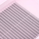 Miosh Eyelash Extensions - XL 3D Premade Volume Short Stem Lash 0.10 / D CURL