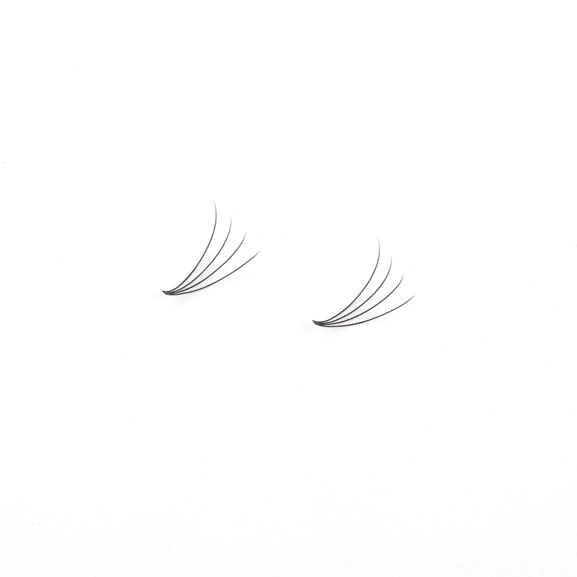 Miosh Eyelash Extensions - 4D Premade Volume Short Stem Eye Lash 0.10 / D CURL