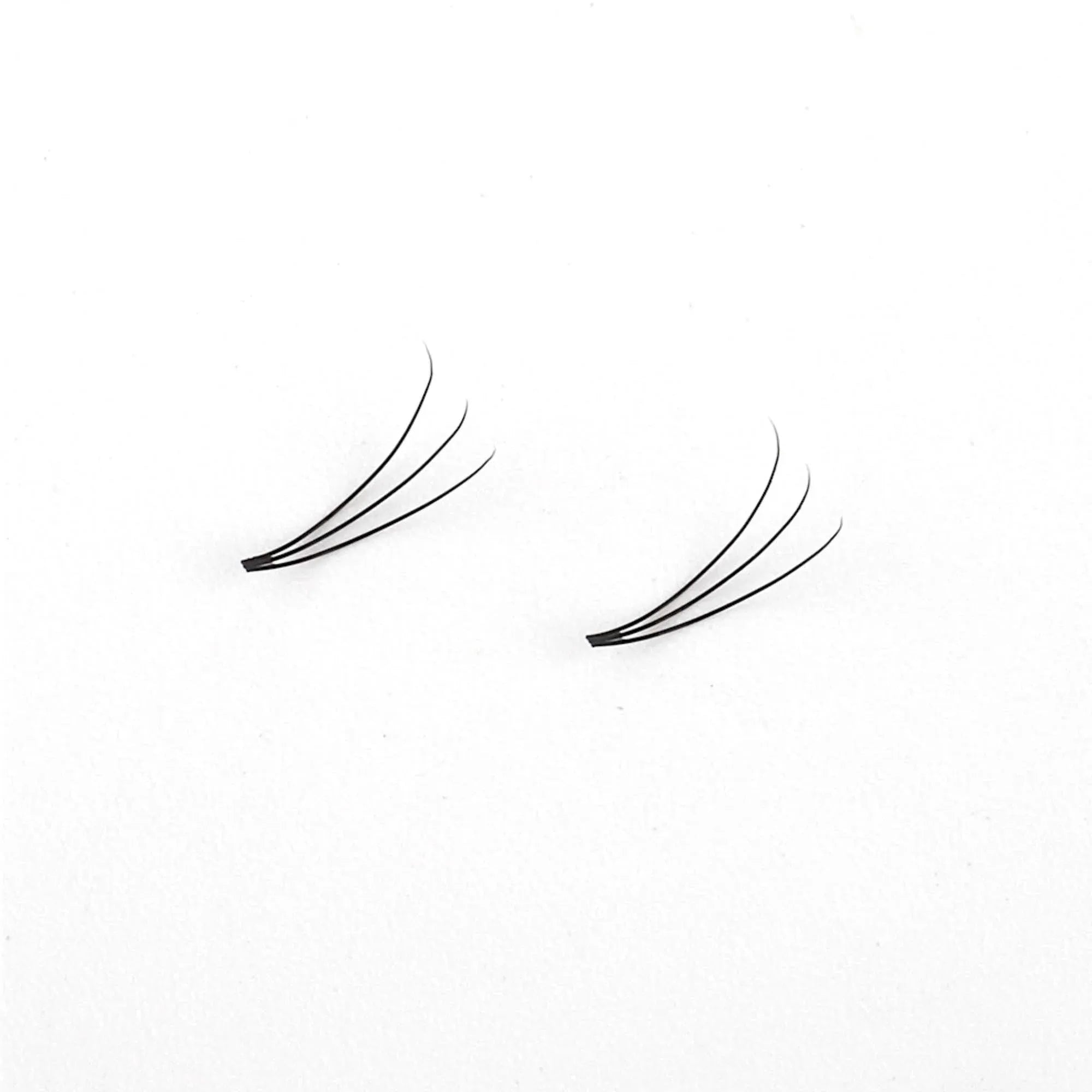 Miosh Eyelash Extensions - 3D Premade Volume Short Stem Eye Lash 0.10 / D CURL