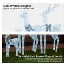 Christabelle Christmas Reindeer Display Set 3 Indoor & Outdoor Decorations Acrylic Beads Cool White LED Lights Silver