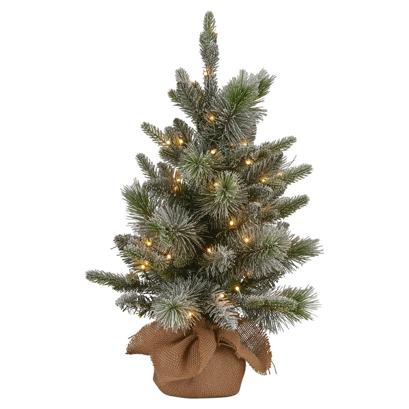 National Tree Company 61cm Pre-Lit Snowy Stamford Spruce Battery-Operated Mini Christmas Tree Multi-Functional LED Timer