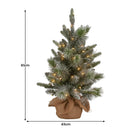 National Tree Company 61cm Pre-Lit Snowy Stamford Spruce Battery-Operated Mini Christmas Tree Multi-Functional LED Timer