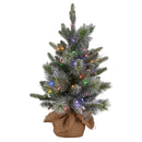 Christabelle 61cm Pre-Lit Snowy Stamford Spruce Battery-Operated Mini Christmas Tree Multi-Functional LED Timer