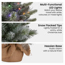 National Tree Company 61cm Pre-Lit Snowy Stamford Spruce Battery-Operated Mini Christmas Tree Multi-Functional LED Timer