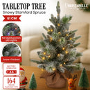 National Tree Company 61cm Pre-Lit Snowy Stamford Spruce Battery-Operated Mini Christmas Tree Multi-Functional LED Timer