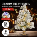 Christabelle 61cm Majestic Snow Tabletop Prelit Christmas Tree