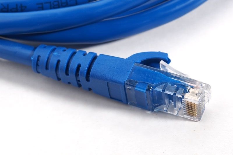 OXHORN CB-CAT6-050 Network Cable Cat6 50m