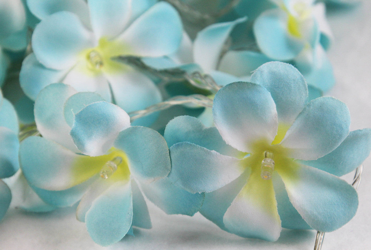 1 Set of 20 LED Tropical Blue Frangipani Flower Battery 3m String Lights Christmas Gift Home Wedding Beach Party Decoration Outdoor Table Centrepiece