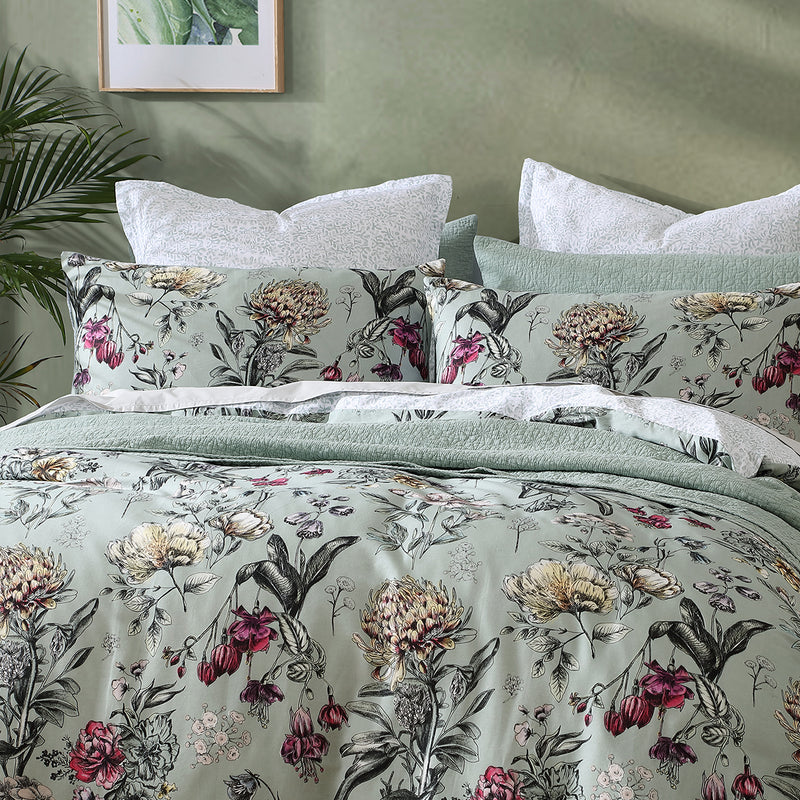 Logan and Mason 250TC Botanical Coast Sage Cotton Sateen Quilt Cover Set Super King