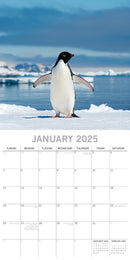 Penguins - 2025 Square Wall Calendar Pets Animals 16 Months Premium Planner Gift