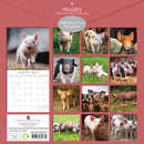 Piggies - 2025 Square Wall Calendar Pets Animals 16 Months Premium Planner Gift