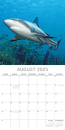 Sharks - 2025 Square Wall Calendar Pets Animals 16 Months Premium Planner Gift